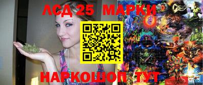 гидропоника Будённовск
